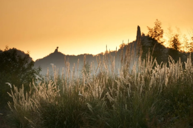 ΢�Ž�ͼ_20241220140842 (2).jpg