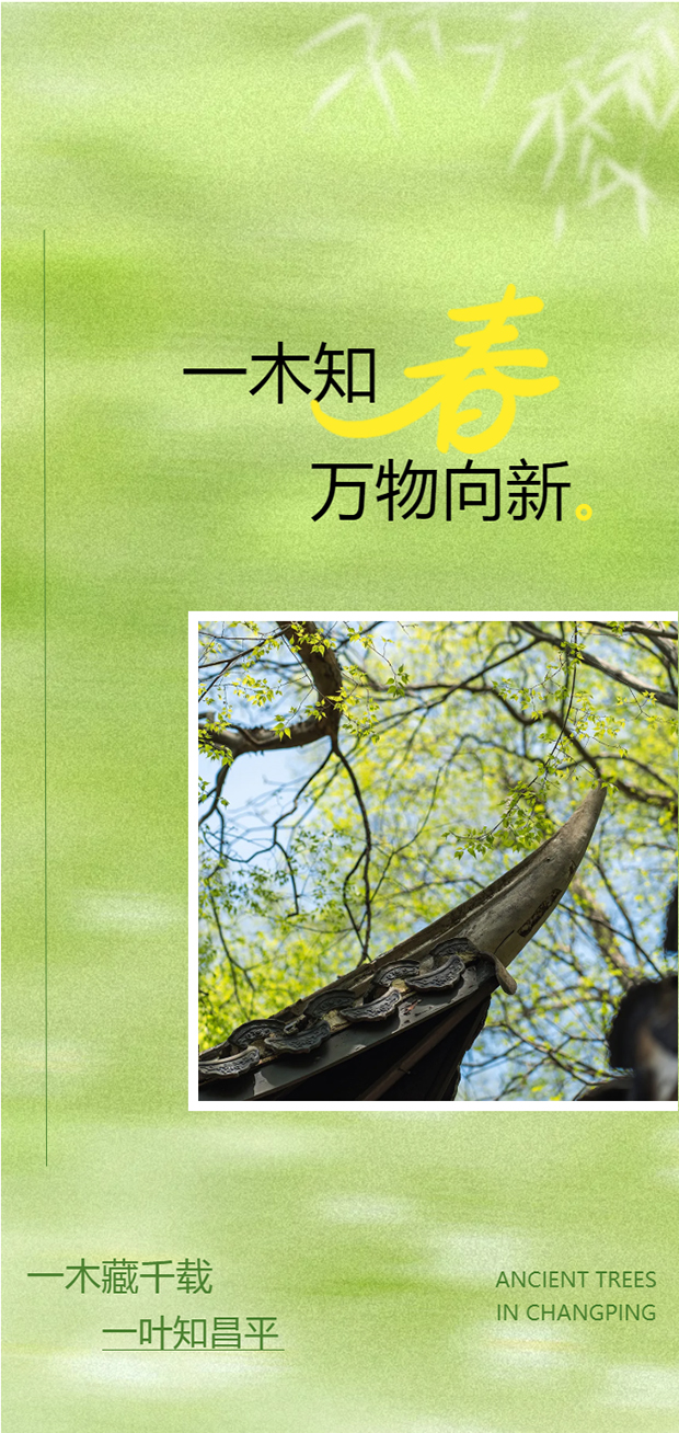 ��ƽ4���������������� �� ����ǧ��ż����ʱ������_0000_ͼ�� 1.jpg